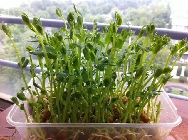 1541216414129722.jpg 8.jpg